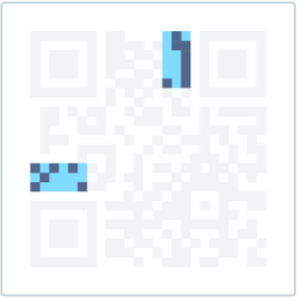 Die Versionsfelder geben an, welche QR-Code-Version verwendet wird