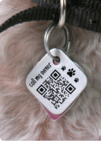 Kreative QR Code Ideen für den persönlichen Gebrauch