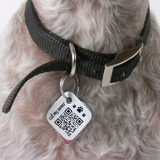 vcard-plus-qr-code-ihre-digitalen-visitenkarten